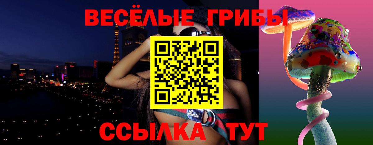 Галлюциногенные грибы GOLDEN TEACHER  Вход с VPN  Орск 